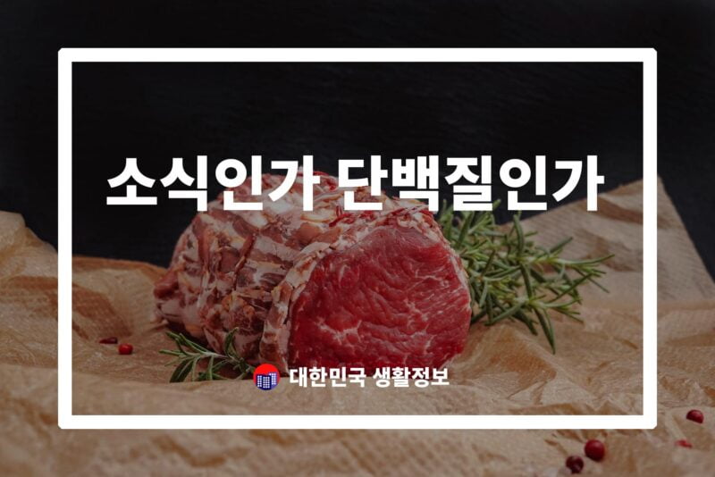 소식인가 단백질인가