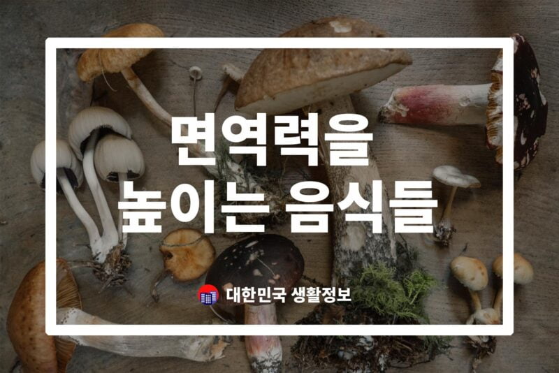 면역력을 높이는 음식들