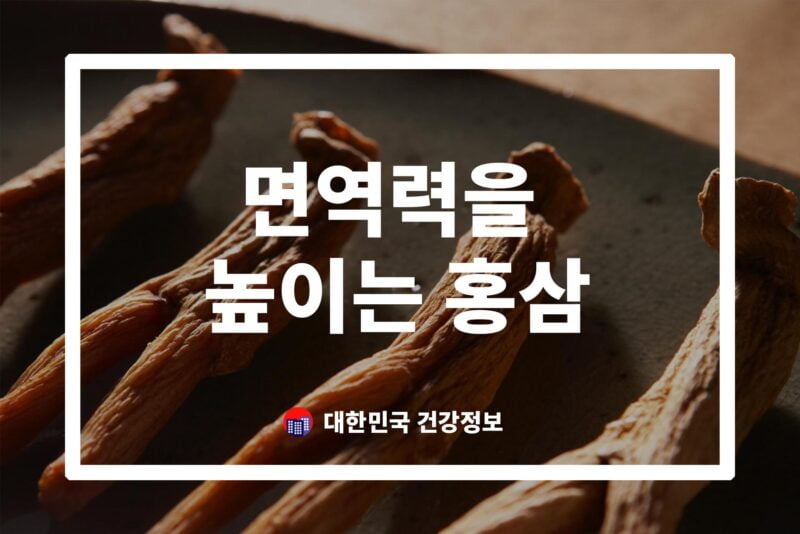 면역력을 높이는 홍삼