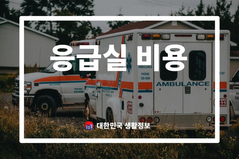 응급실 비용